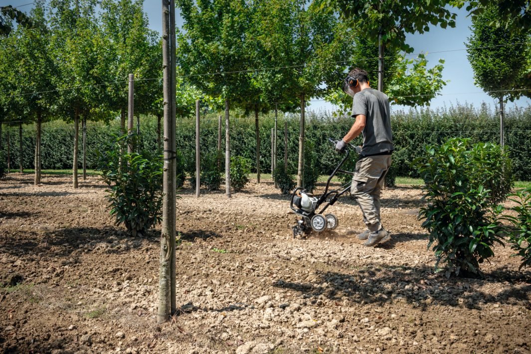 Stihl BC 230 Petrol Power Weeder - Image 5